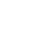 Financial Health Score